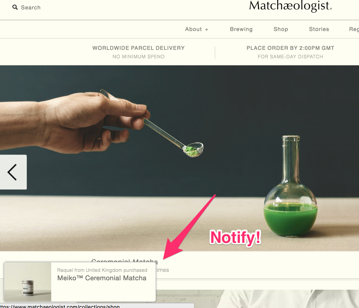 Notify Screenshot - notify displaying a recent purchase