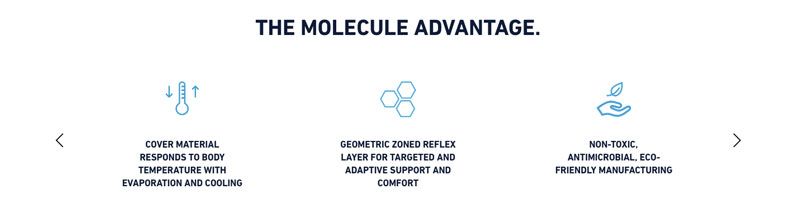 fomo-molecule-about