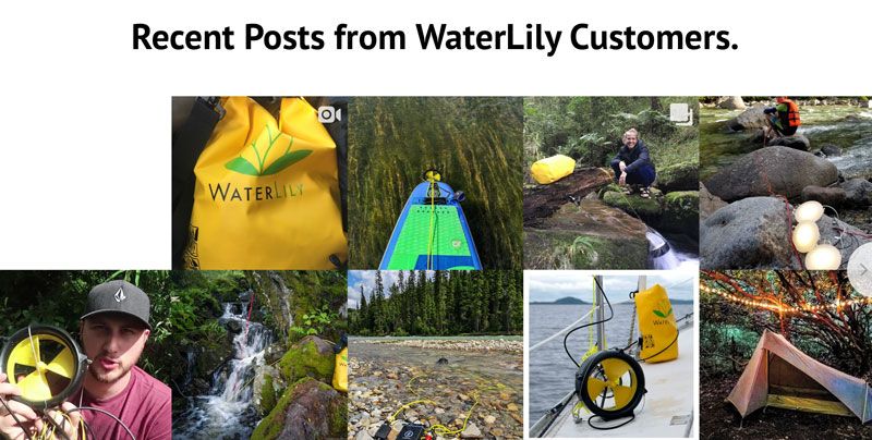 fomo-waterlily-customers