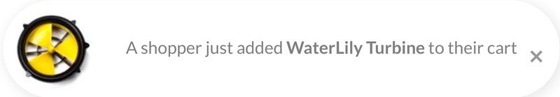 fomo-waterlily-notification